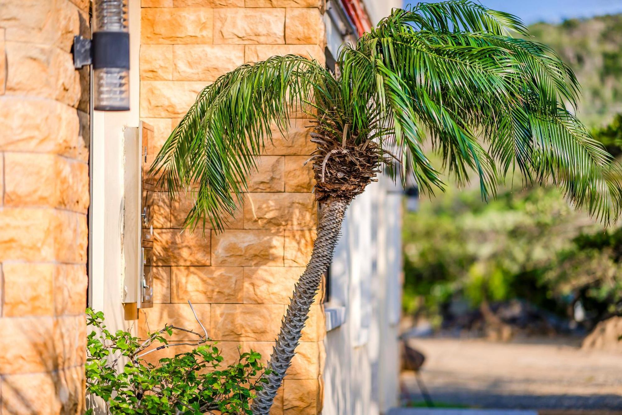 Southern Sun Homestay North Kenting-Nationalpark Exterior foto